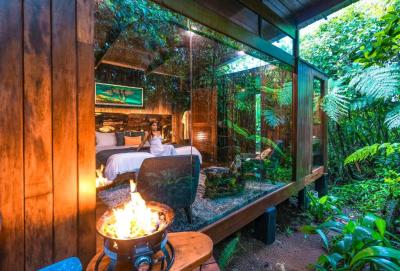 Jungle Suite 8