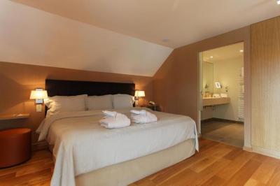 Suite with Terrace 5