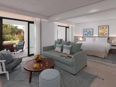 Junior King Suite with Terrace and Garden View 10
