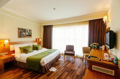 Double or Twin Room with City View 1
