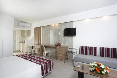Studio with Garden View (2 Adults + 1 Child) 2