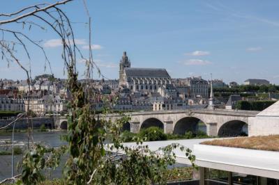 Chambre Deluxe Vue Loire 4
