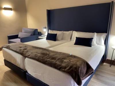 Habitaci&oacute;n Twin Confort con cama supletoria 7