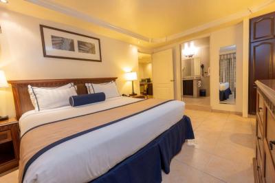King Suite with Sofa Bed 2