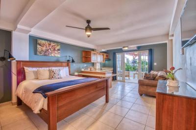 King Suite with Pool View (Ground Floor) 8