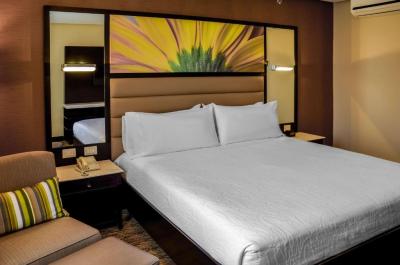King Room with City View 4