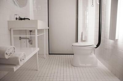Quarto Standard 2