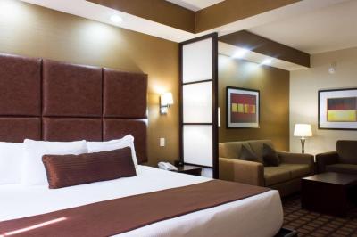 King Room - Non-Smoking 2