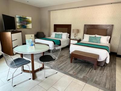 Standard Double Suite 4