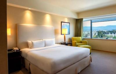 Executive King Room with Mountain View 14