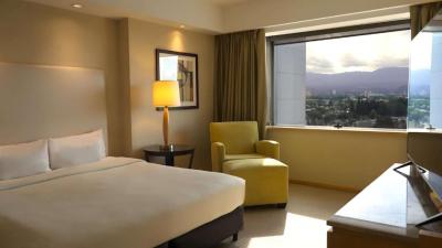 One-Bedroom King Suite 15