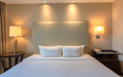 King Room with Mountain View 17