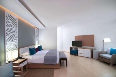 Premium King Junior Suite with Garden View 4