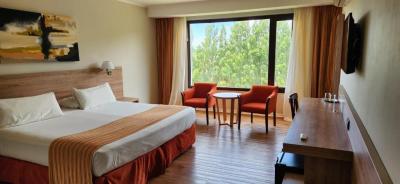 Standard King Room 4