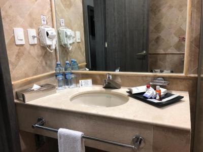 Business Suite with Living Room 5