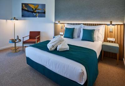 Superior Double or Twin Room with Terrace 2