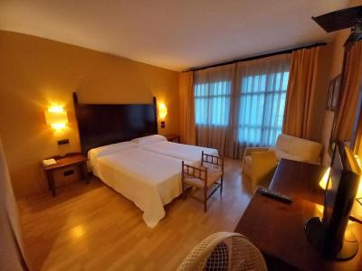 Twin Room with Terrace 4