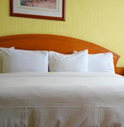 Deluxe Zimmer mit Kingsize-Bett 1