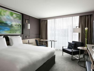Premium Superior King Room 9
