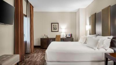 Premium Double or Twin Room 3