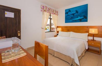 Double or Twin Room 1