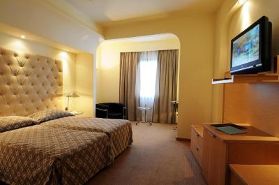 Executive Double / Twin Room with Mountain View 2