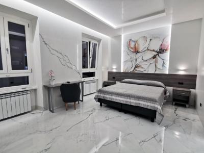 Deluxe Double or Twin Room 4