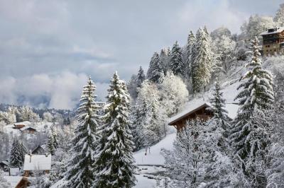 The Large Suite - Megeve view with Balcony 5