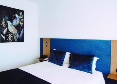Superior Double or Twin Room with City View 2