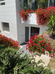 Double Room with Kitchenette 1