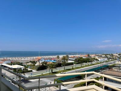 Suite Junior avec Terrasse 7
