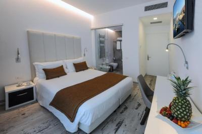 Standard Double Room with Balcony and Beach Access 2