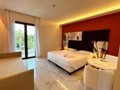 Deluxe Double or Twin Room with Pool View 8