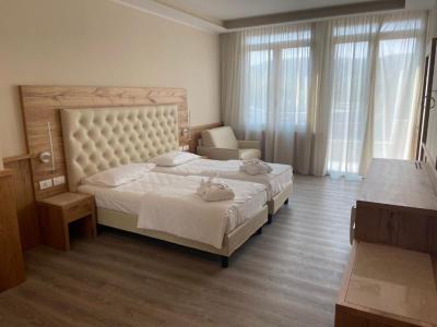 Junior Suite with Mountain View 7