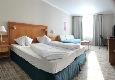 Habitaci&oacute;n Doble Superior 5