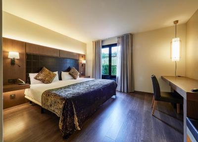 Executive Double or Twin Room With Terrace 4