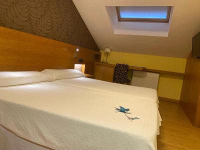 Double or Twin Room - Attic 5