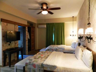 Deluxe Double Room with Extra Bed 1