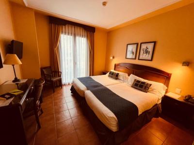 Double or Twin Room with Extra Bed 3