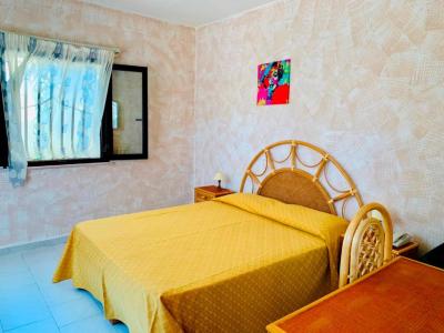 Superior Double Room 6