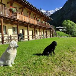 Double Room with Mountain View 5