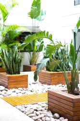 Nuss Buenos Aires Soho Hotel 4 Nuss Buenos Aires Soho Hotel 4