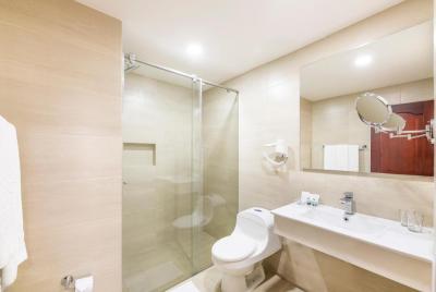 Hotel Andes Plaza Bogotá 8 Hotel Andes Plaza Bogotá 8