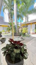 Hotel Balcones de Bocagrande 6 Hotel Balcones de Bocagrande 6
