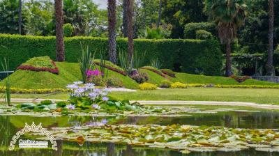 Jardín Cerritos Xochitepec Hotel 5 Jardín Cerritos Xochitepec Hotel 5