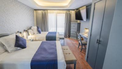 Hive Mexico City by G Hotels 10 Hive Mexico City by G Hotels 10