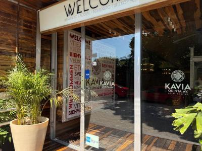 Hotel Kavia 5th Avenida 3 Hotel Kavia 5th Avenida 3