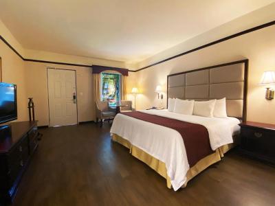 Safi Royal Luxury Centro 9 Safi Royal Luxury Centro 9
