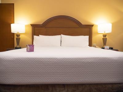 Crowne Plaza Hotel Monterrey - Monterrey - Hotel WebSite