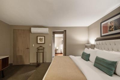 Dominion Polanco Hotel 4 Dominion Polanco Hotel 4